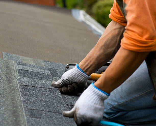 Roof Gutter Cleaning in Brewton, AL